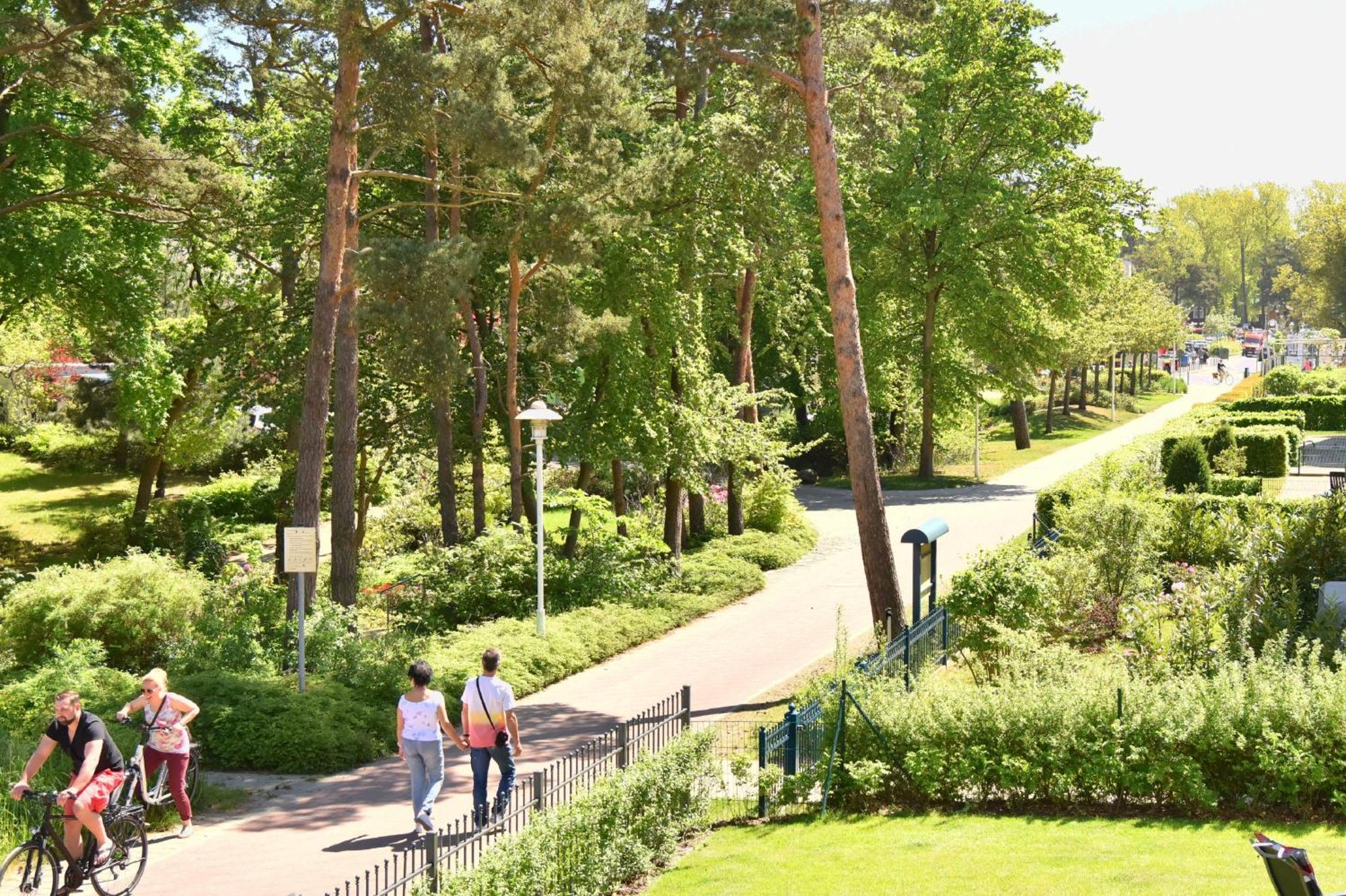 Ferienwohnung Lachmöwe Baabe Exterior foto